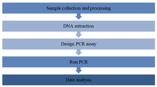 The Workflow of Chlamydia Test