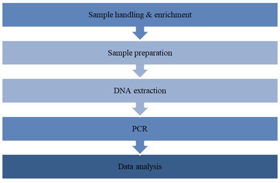 The Workflow of Salmonella Test